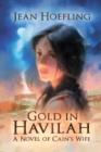 Gold in Havilah : A Novel of Cain's Wife - eBook