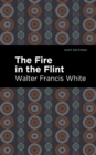 The Fire in the Flint - Book