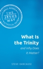 What Is the Trinity and Why Does It Matter? - Book