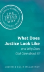 What Does Justice Look Like and Why Does God Care about It? - eBook