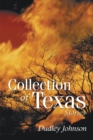Collection of Texas Stories - eBook
