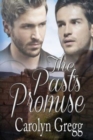 The Past's Promise - Book