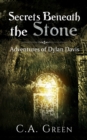 Secrets Beneath the Stone - Book