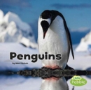 Penguins (Black and White Animals) - Book