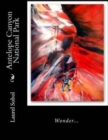 Antelope Canyon National Park - Book