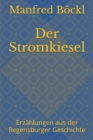 Der Stromkiesel : Erzahlungen aus der Regensburger Geschichte - Book
