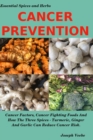Cancer Prevention : Cancer Factors, Cancer Fighting Foods And How The Spices Turmeric, Ginger And Garlic Can Reduce Cancer Risk - Book