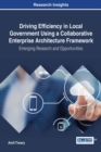 Driving Efficiency in Local Government Using a Collaborative Enterprise Architecture Framework: Emerging Research and Opportunities - eBook