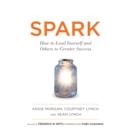 Spark : How to Lead Yourself and Others to Greater Success - eAudiobook