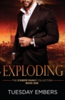 Exploding : A Mafia Romance - Book