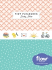 Tiny Pleasures Sticky Notes - Book