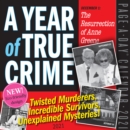2021 Year of True Crime Page-A-Day Calendar - Book