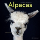 2021 Alpacas Wall Calendar - Book
