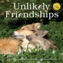 2022 Unlikely Friendships - Book