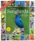 Audubon Songbirds and Other Backyard Birds Picture-A-Day Wall Calendar 2023 - Book