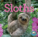 Original Sloths Wall Calendar 2024 : The Ultimate Experts at Slowing Down - Book
