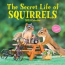 Secret Life of Squirrels Wall Calendar 2024 : A Year of Wild Squirrels - Book