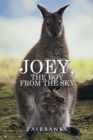 Joey, the Boy from the Sky - eBook