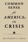 Common Sense for America; in Crisis - eBook