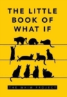 The Little Book of What If - Book
