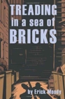 Treading in a Sea of Bricks - Book