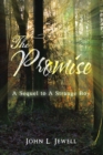 The Promise : A Sequel to a Strange Boy - eBook