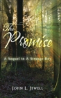 The Promise : A Sequel to a Strange Boy - Book