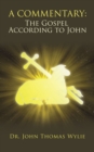 A Commentary: the Gospel According to John - eBook