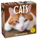 Cats 2021 Day-to-Day Calendar - Book