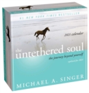 Untethered Soul 2021 Day-to-Day Calendar - Book