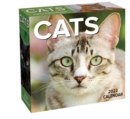 Cats 2022 Day-to-Day Calendar - Book