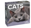 Cats 2023 Day-to-Day Calendar - Book
