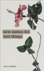 New Names for Lost Things - eBook