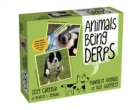 Animals Being Derps 2024 Day-to-Day Calendar - Book