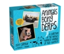 Animals Being Derps 2025 Day-to-Day Calendar - Book