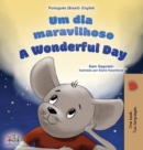 A Wonderful Day (Brazilian Portuguese English Bilingual Book for Kids) - Book