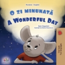A Wonderful Day (Romanian English Bilingual Children's Book) - Book