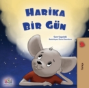A Wonderful Day (Turkish Book for Children) - Book