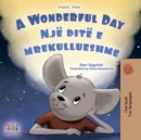 A wonderful Day Nje dite e mrekullueshme : English Albanian  Bilingual Book for Children - eBook
