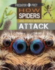 Predator vs Prey: How Spiders and other Invertebrates Attack - Book
