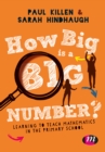 How Big is a Big Number? : Learning to teach mathematics in the primary school - eBook