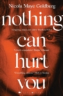 Nothing Can Hurt You : 'A gothic Olive Kitteridge mixed with Gillian Flynn' Vogue - Book