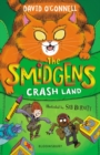 The Smidgens Crash-Land - eBook