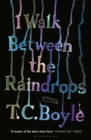 I Walk Between the Raindrops - eBook