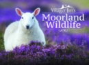 Villager Jim's Moorland Wildlife - Book