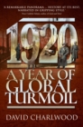 1920 : A Year of Global Turmoil - eBook