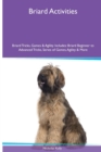 Briard Activities Briard Tricks, Games & Agility. Includes : Briard Beginner to Advanced Tricks, Series of Games, Agility and More - Book