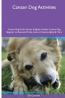 Canaan Dog Activities Canaan Dog Tricks, Games & Agility. Includes : Canaan Dog Beginner to Advanced Tricks, Series of Games, Agility and More - Book