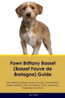 Fawn Brittany Basset (Basset Fauve de Bretagne) Guide Fawn Brittany Basset Guide Includes : Fawn Brittany Basset Training, Diet, Socializing, Care, Grooming, Breeding and More - Book