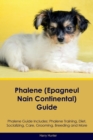 Phalene (Epagneul Nain Continental) Guide Phalene Guide Includes : Phalene Training, Diet, Socializing, Care, Grooming, Breeding and More - Book